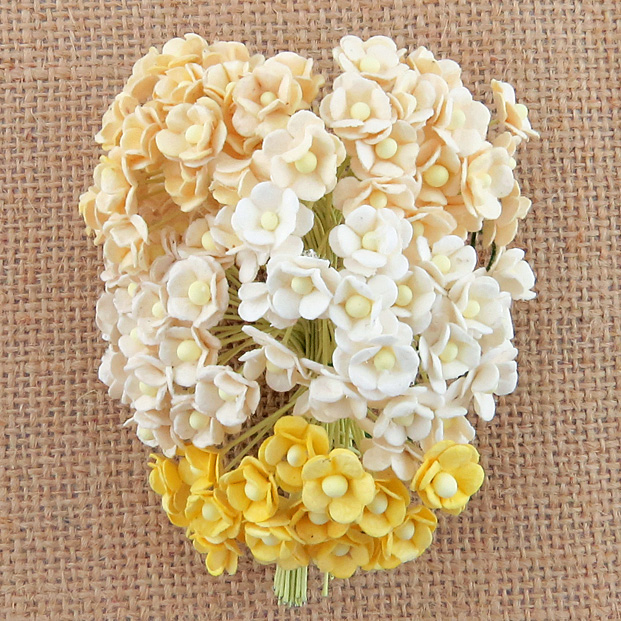 100 MINIATURE MIXED WHITE/CREAM SWEETHEART BLOSSOM FLOWERS - Click Image to Close