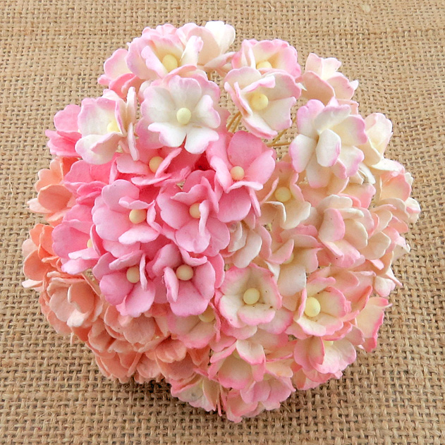 100 MIXED PINK SWEETHEART BLOSSOM - Click Image to Close