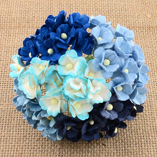 100 MIXED BLUE SWEETHEART BLOSSOM - Click Image to Close