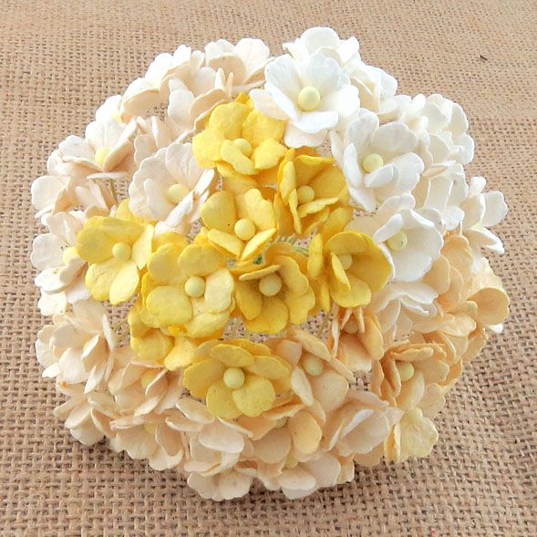 100 MIXED WHITE & CREAM SWEETHEART BLOSSOM