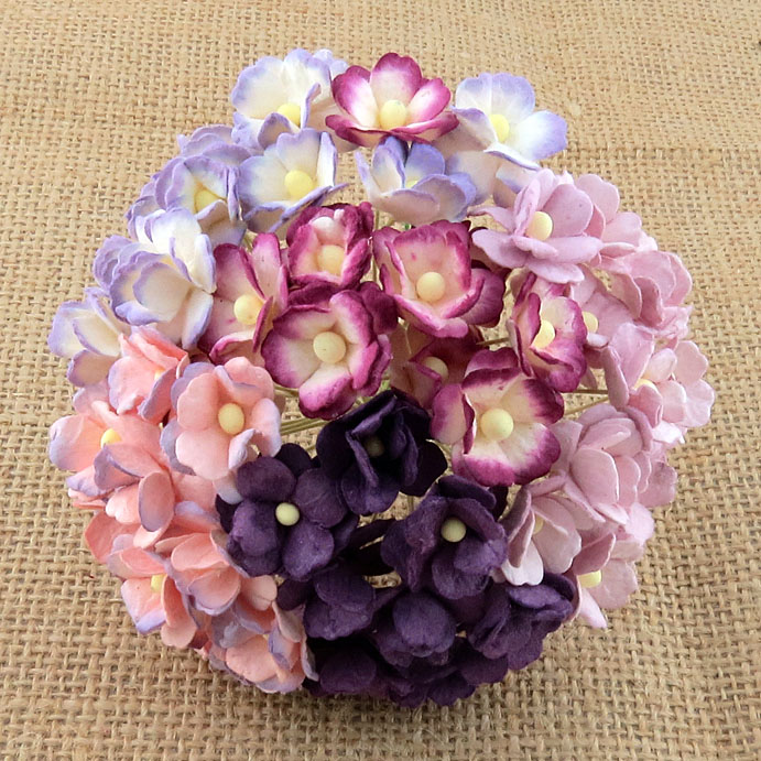 100 MIXED PURPLE/LILAC SWEETHEART BLOSSOM