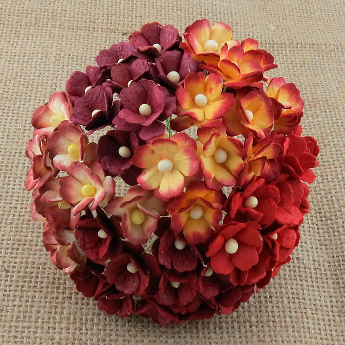 100 MIXED RED SWEETHEART BLOSSOM - Click Image to Close