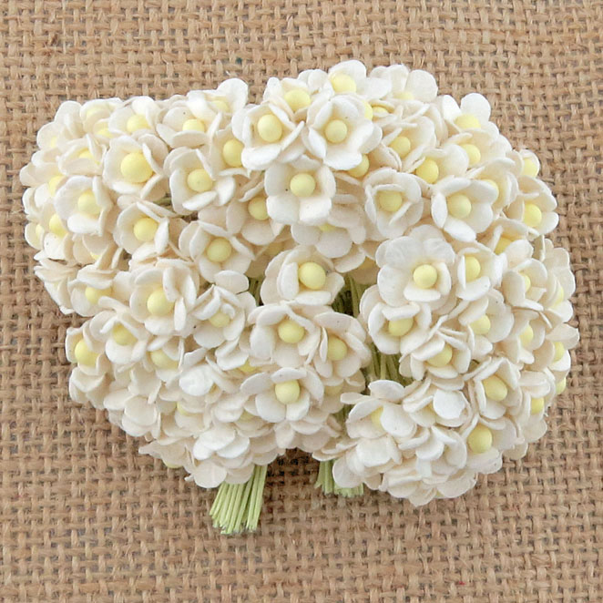 100 MINIATURE WHITE SWEETHEART BLOSSOM FLOWERS - Click Image to Close