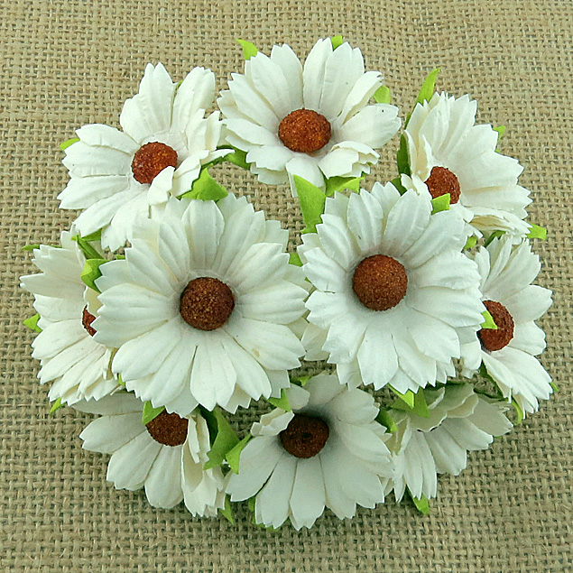 50 IVORY MULBERRY PAPER CHRYSANTHEMUMS