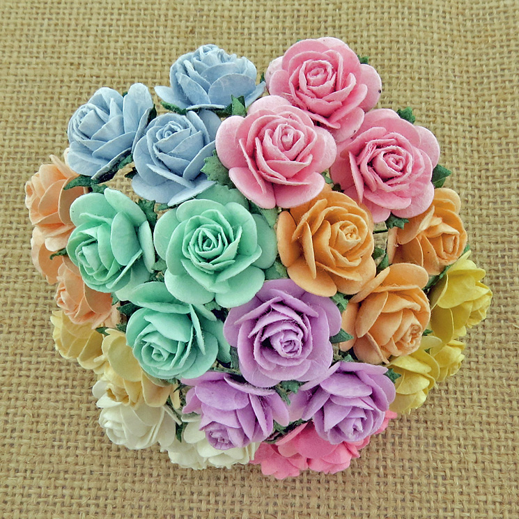 100 MIXED PASTEL COLOUR OPEN ROSES - Click Image to Close