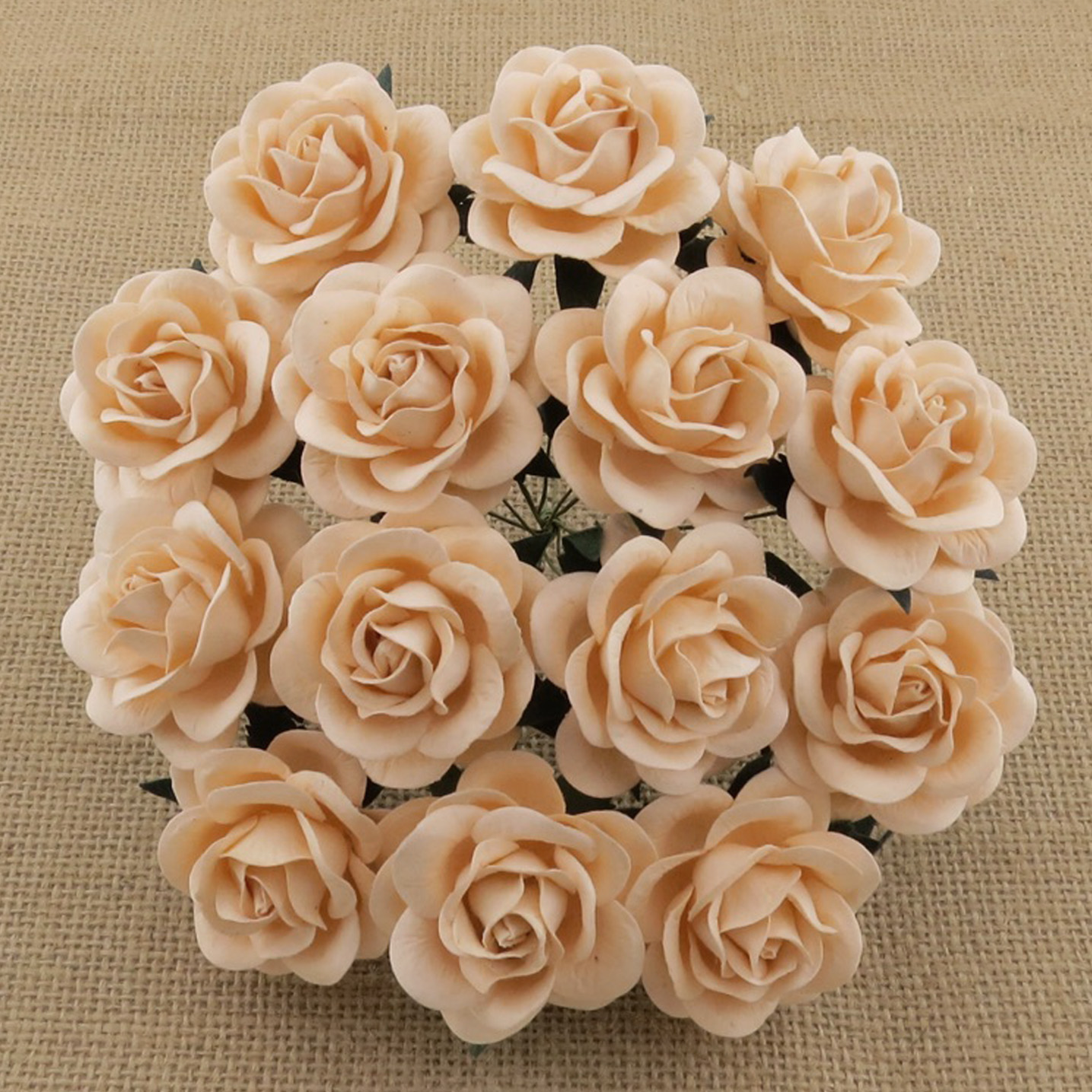 50 PALE PEACH MULBERRY PAPER TRELLIS ROSES