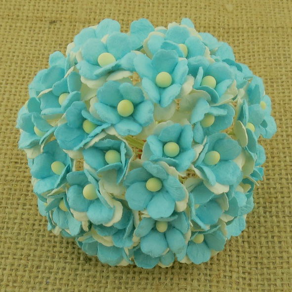 100 2-TONE LIGHT TURQUOISE SWEETHEART BLOSSOM