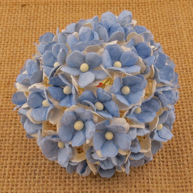 100 2-TONE LIGHT BLUE SWEETHEART BLOSSOM - Click Image to Close