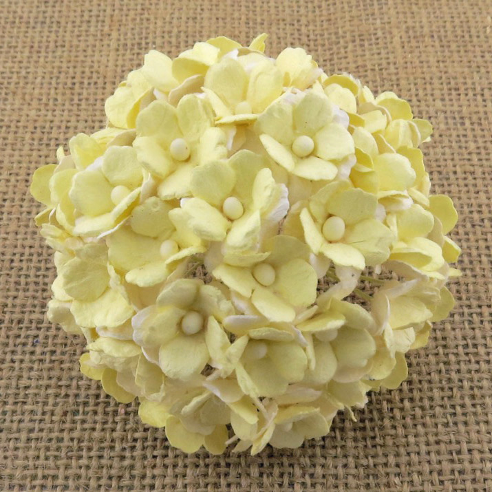 100 2-TONE PALE YELLOW SWEETHEART BLOSSOM - Click Image to Close