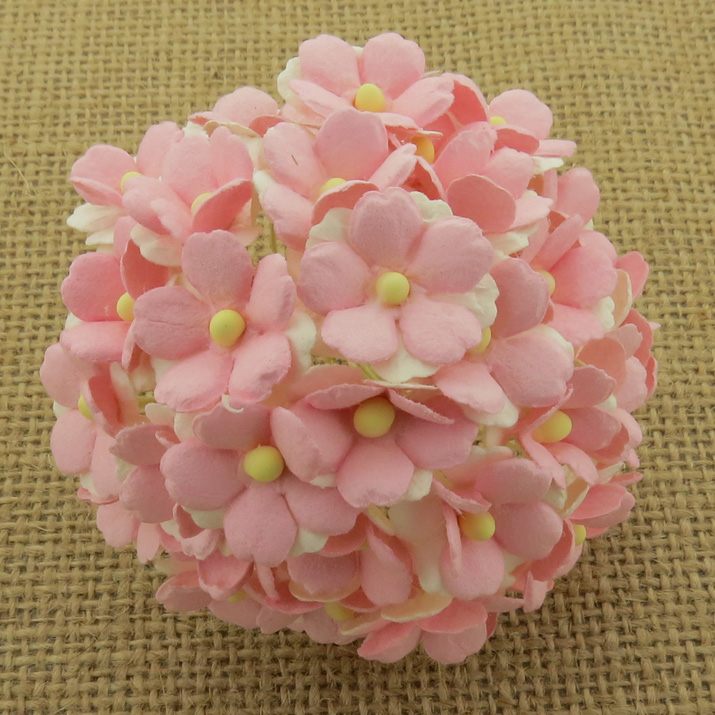100 2-TONE BABY PINK SWEETHEART BLOSSOM - Click Image to Close