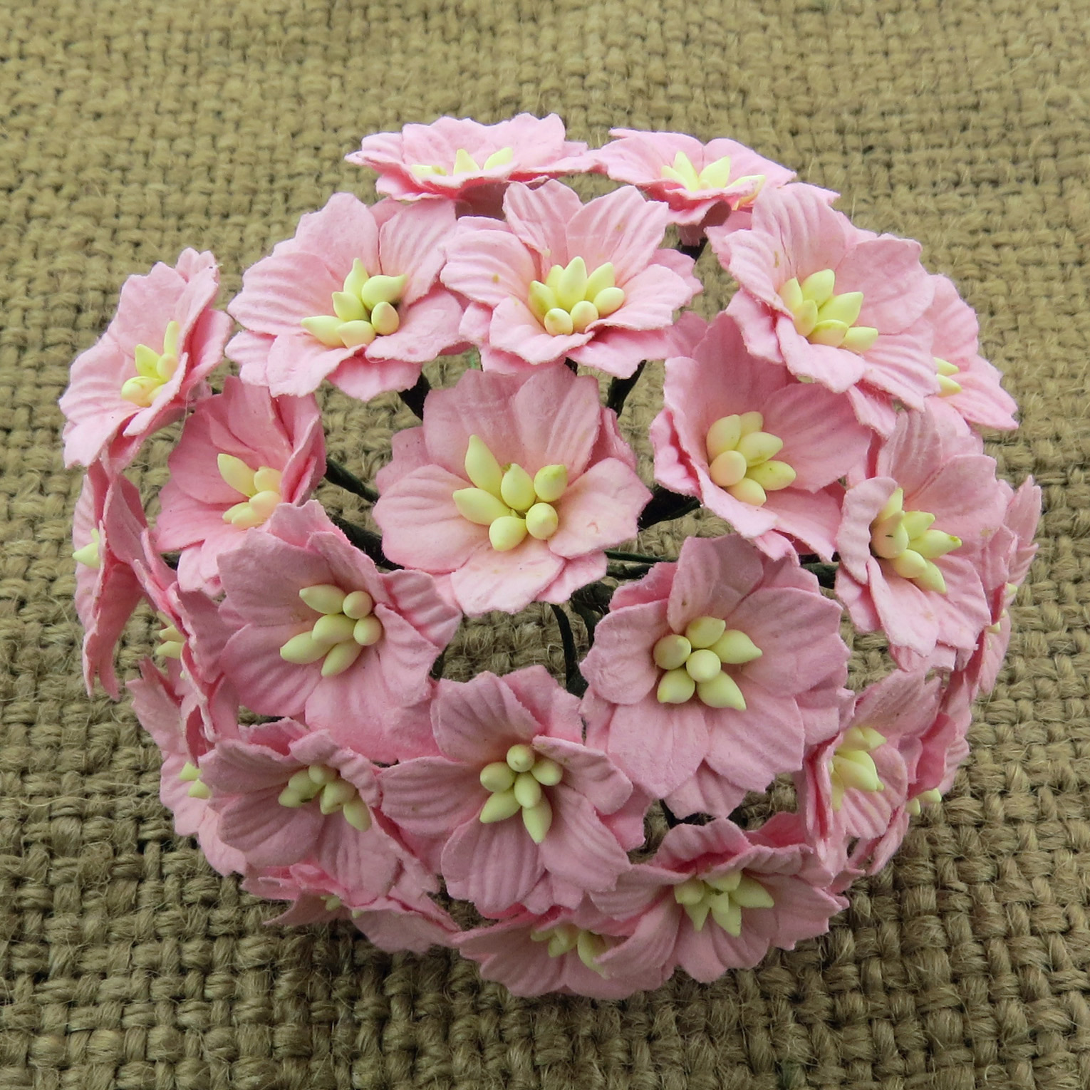 50 BABY PINK MULBERRY PAPER APPLE BLOSSOMS - Click Image to Close