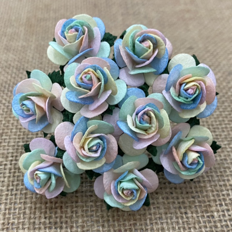 100 PASTEL RAINBOW COLOUR OPEN ROSES