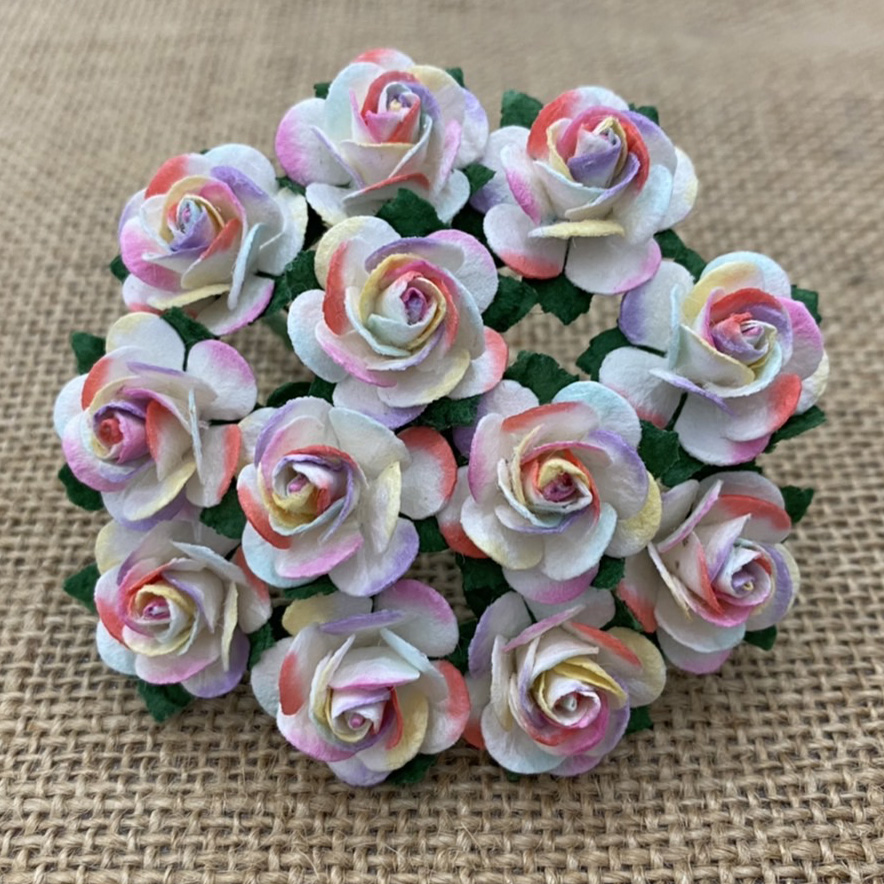 100 2-TONE PASTEL RAINBOW COLOR OPEN ROSES