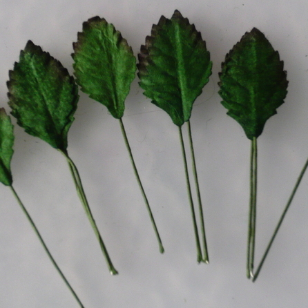 100 GREEN MULBERRY PAPER ROSE LEAVES - 25mm - Click Image to Close