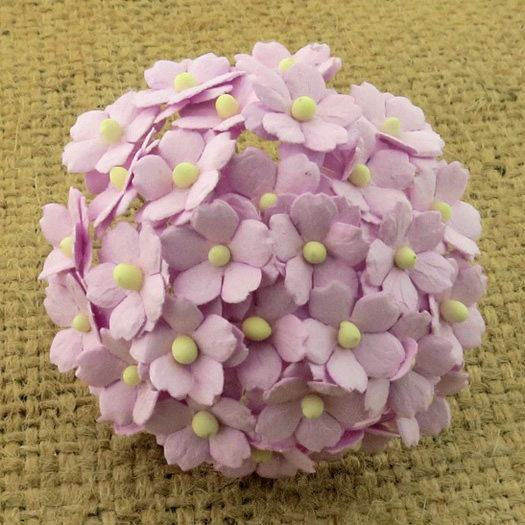 100 LILAC SWEETHEART BLOSSOM - Click Image to Close