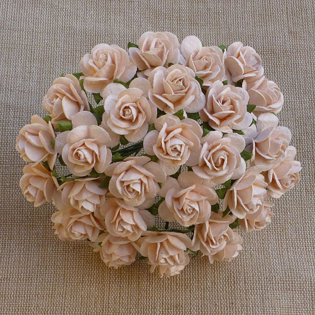 100 PALE PEACH MULBERRY PAPER OPEN ROSES - Click Image to Close