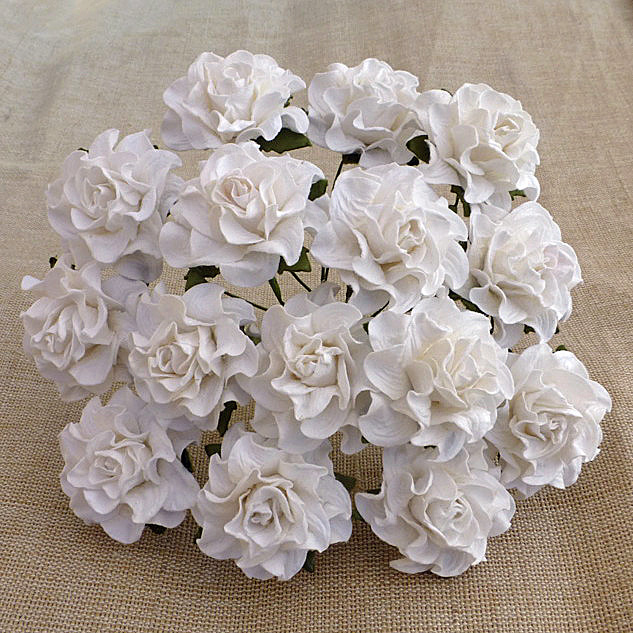 20 WHITE TUSCANY ROSES - 30mm