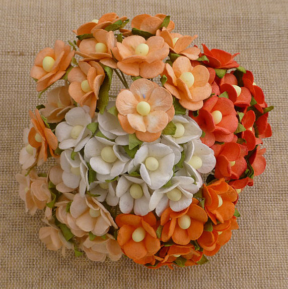 100 MIXED PEACH/ORANGE & WHITE SWEETHEART BLOSSOM