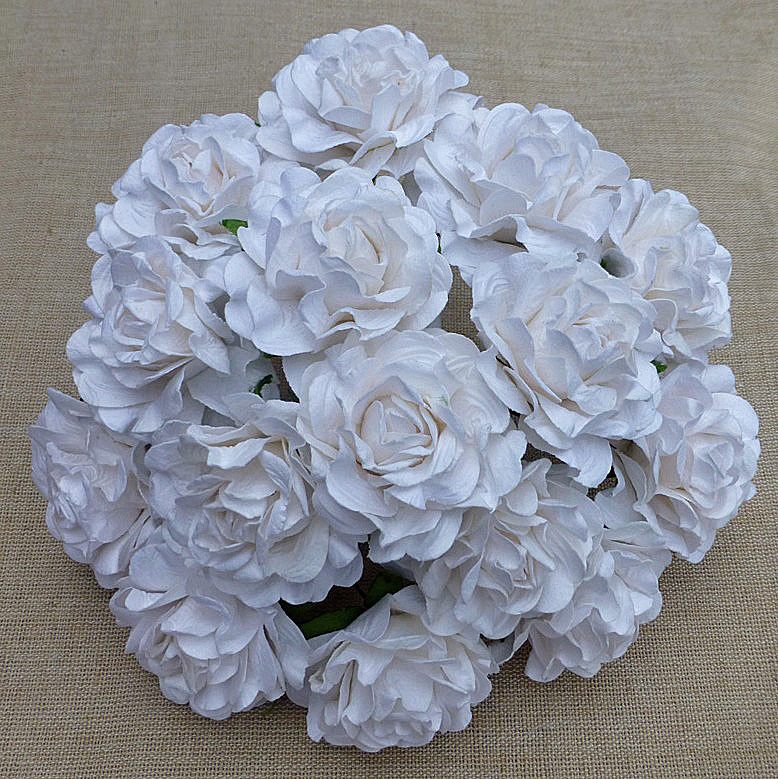 20 WHITE TUSCANY ROSES - 35mm