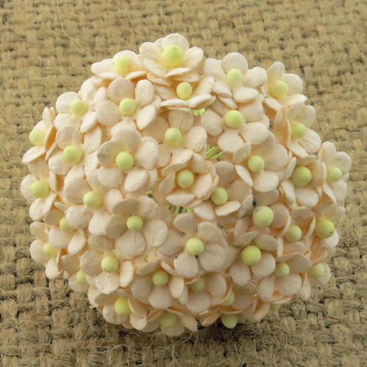 100 MINIATURE PALE PEACH SWEETHEART BLOSSOM FLOWERS