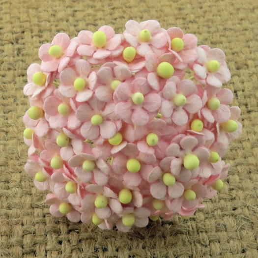 100 MINIATURE PALE PINK SWEETHEART BLOSSOM FLOWERS - Click Image to Close