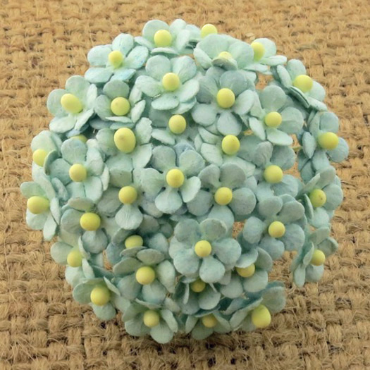 100 MINIATURE PASTEL GREEN SWEETHEART BLOSSOM FLOWERS - Click Image to Close