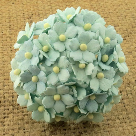 100 PASTEL GREEN SWEETHEART BLOSSOM - Click Image to Close