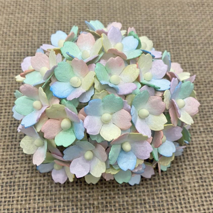 100 MIXED RAINBOW PASTEL SWEETHEART BLOSSOM - Click Image to Close