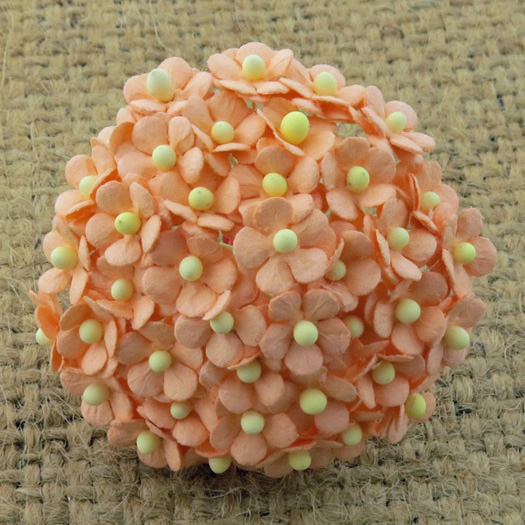 100 MINIATURE PEACH SWEETHEART BLOSSOM FLOWERS - Click Image to Close