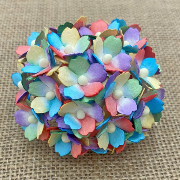 100 MIXED RAINBOW SWEETHEART BLOSSOM