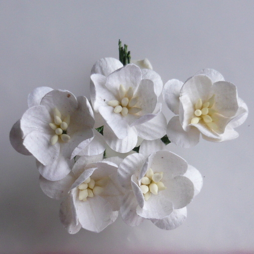 50 WHITE MULBERRY PAPER CHERRY BLOSSOMS