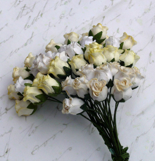 40 MIXED WHITE/CREAM TONE HIP ROSEBUDS