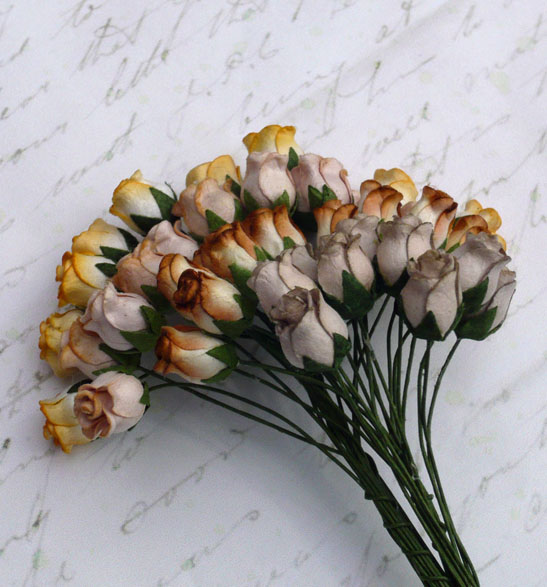 40 MIXED EARTH TONE HIP ROSEBUDS - Click Image to Close