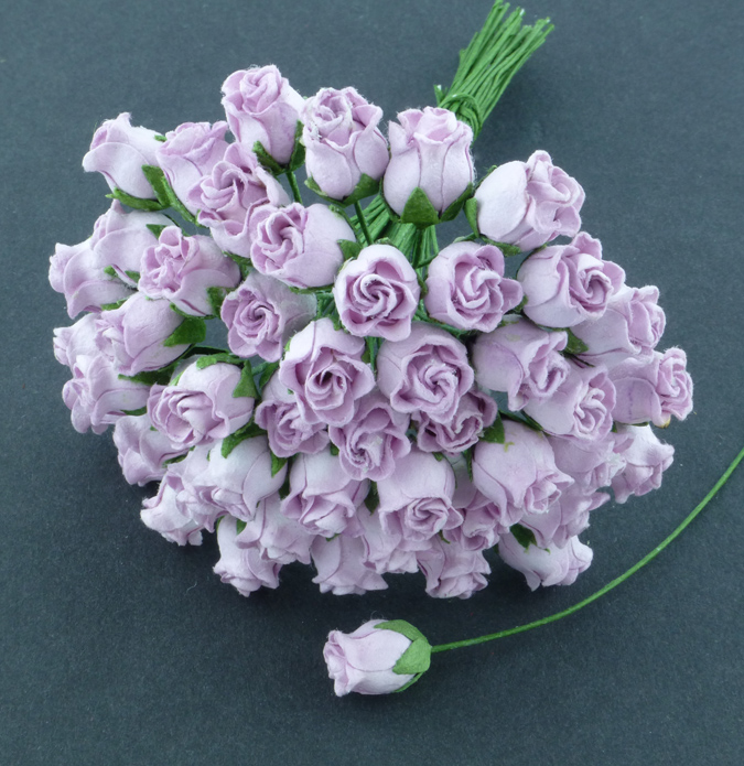 50 LILAC HIP ROSEBUDS - Click Image to Close