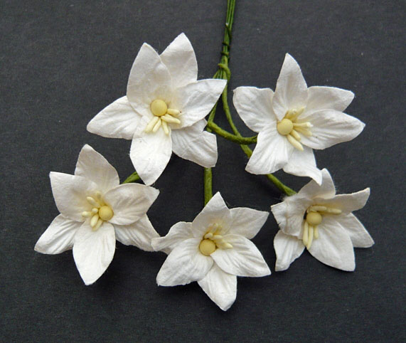 50 WHITE MULBERRY PAPER LILY FLOWERS