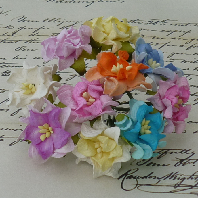 50 MIXED COLOUR GARDENIA FLOWERS - SET B - Click Image to Close