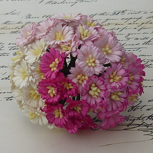 50 MIXED PINK/WHITE COSMOS DAISY STEM FLOWERS