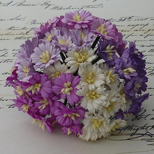 50 MIXED PURPLE/WHITE COSMOS DAISY STEM FLOWERS