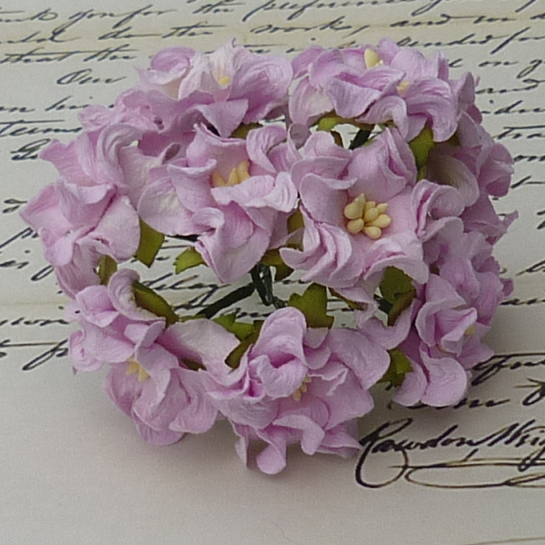 50 LILAC GARDENIA FLOWERS