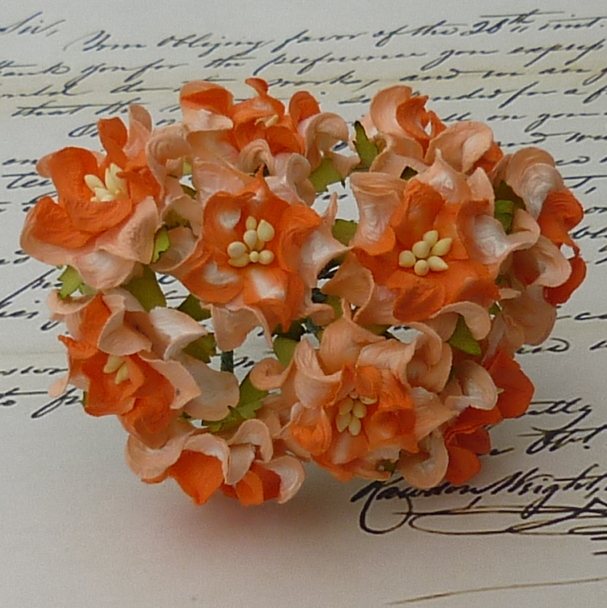 50 2-TONE ORANGE GARDENIA FLOWERS - Click Image to Close