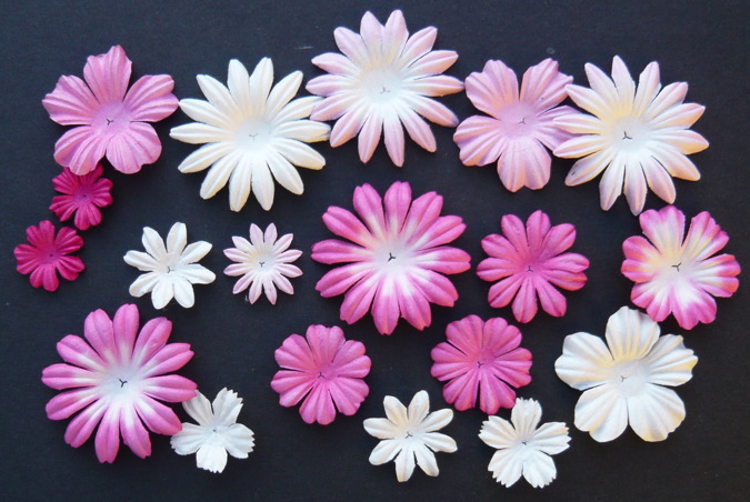 100 MIXED PINK/WHITE TONE BLOOM SET - Click Image to Close