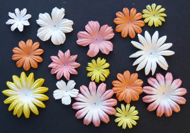 100 MIXED PEACH/YELLOW/WHITE TONE BLOOM SET - Click Image to Close