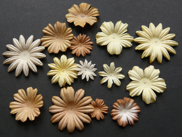 100 MIXED BROWN/CREAM TONE BLOOM SET - Click Image to Close