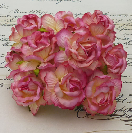 50 LARGE 2-TONE CHAMPANGE PINK WILD ROSES