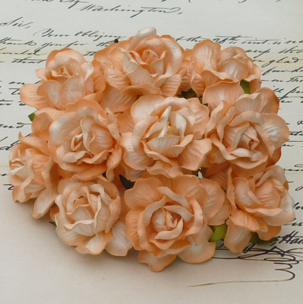 50 LARGE 2-TONE PEACH WILD ROSES - Click Image to Close