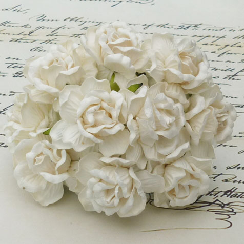 50 LARGE IVORY WILD ROSES