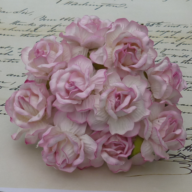 50 LARGE 2-TONE BABY PINK WILD ROSES - Click Image to Close