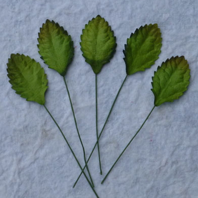 100 Green Mulberry Paper Leaves - 30mm - Click Image to Close