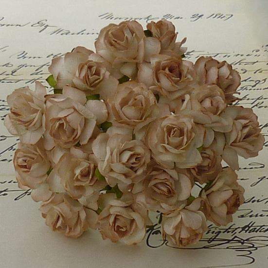 50 2-TONE TAN MULBERRY PAPER WILD ROSES - 30mm