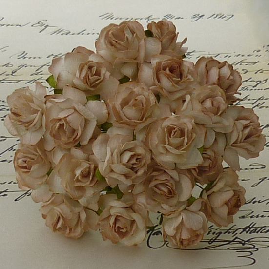 50 2-TONE TAN MULBERRY PAPER WILD ROSES - 30mm - Click Image to Close